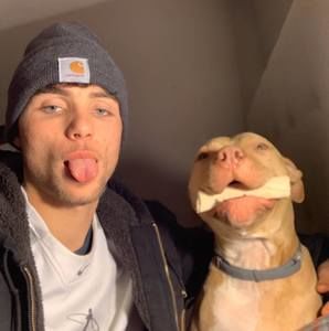 Meet your Posher, Dylan